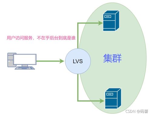 LVS集群NAT模式与DR模式部署详解 计算机系统服务的高可用架构设计